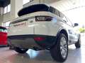 Land Rover Range Rover Evoque 2.0TD4 Pure 4WD Aut. 150 Bianco - thumbnail 13