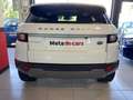 Land Rover Range Rover Evoque 2.0TD4 Pure 4WD Aut. 150 Bianco - thumbnail 7