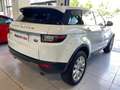 Land Rover Range Rover Evoque 2.0TD4 Pure 4WD Aut. 150 Bianco - thumbnail 9