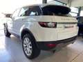 Land Rover Range Rover Evoque 2.0TD4 Pure 4WD Aut. 150 Bianco - thumbnail 6