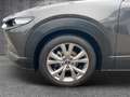 Mazda CX-30 Selection 150PS Act-P / 1.Hand / 360 / Grau - thumbnail 6