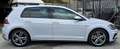 Volkswagen Golf 5p 1.6 tdi R line 115cv dsg grigio gesso Gris - thumbnail 6