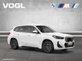 BMW iX1 xDrive30 LED-Scheinwerfer SHZ Weiß - thumbnail 9