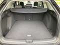 Volkswagen Golf Variant ALLTRACK VIII 2.0TDI 200PS 4Mo STDHZG.AHK.ACC.NAVI Schwarz - thumbnail 8