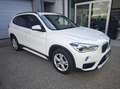 BMW X1 sDrive 18 d Sport Line Automatik, Erstbesitz, NP € 52.429,- Weiß - thumbnail 34