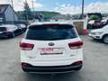 Kia Sorento Spirit 4WD/Kamera/Acc/Automatik/ Weiß - thumbnail 6