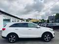 Kia Sorento Spirit 4WD/Kamera/Acc/Automatik/ Weiß - thumbnail 8