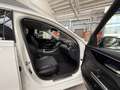 Mercedes-Benz C 220 SW d mhev Premium Pro auto Bianco - thumbnail 13