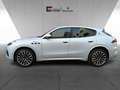 Maserati Grecale Modena MHEV Pano-Premium Leather-360-21 Zoll-5.J G Weiß - thumbnail 2