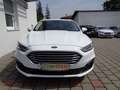 Ford Mondeo Traveller Titanium 2,0 Hybrid Aut. Bianco - thumbnail 6