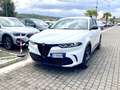Alfa Romeo Tonale Tonale 1.5 160 CV MHEV TCT7 Veloce Weiß - thumbnail 1