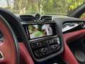 Bentley Bentayga Hybrid Rojo - thumbnail 11