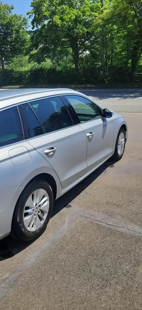 Skoda Octavia Octavia SW 2.0 TDi SCR Clever DSG Zilver - 2