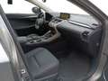 Lexus NX 300 NX Hybrid 4WD Premium - thumbnail 6