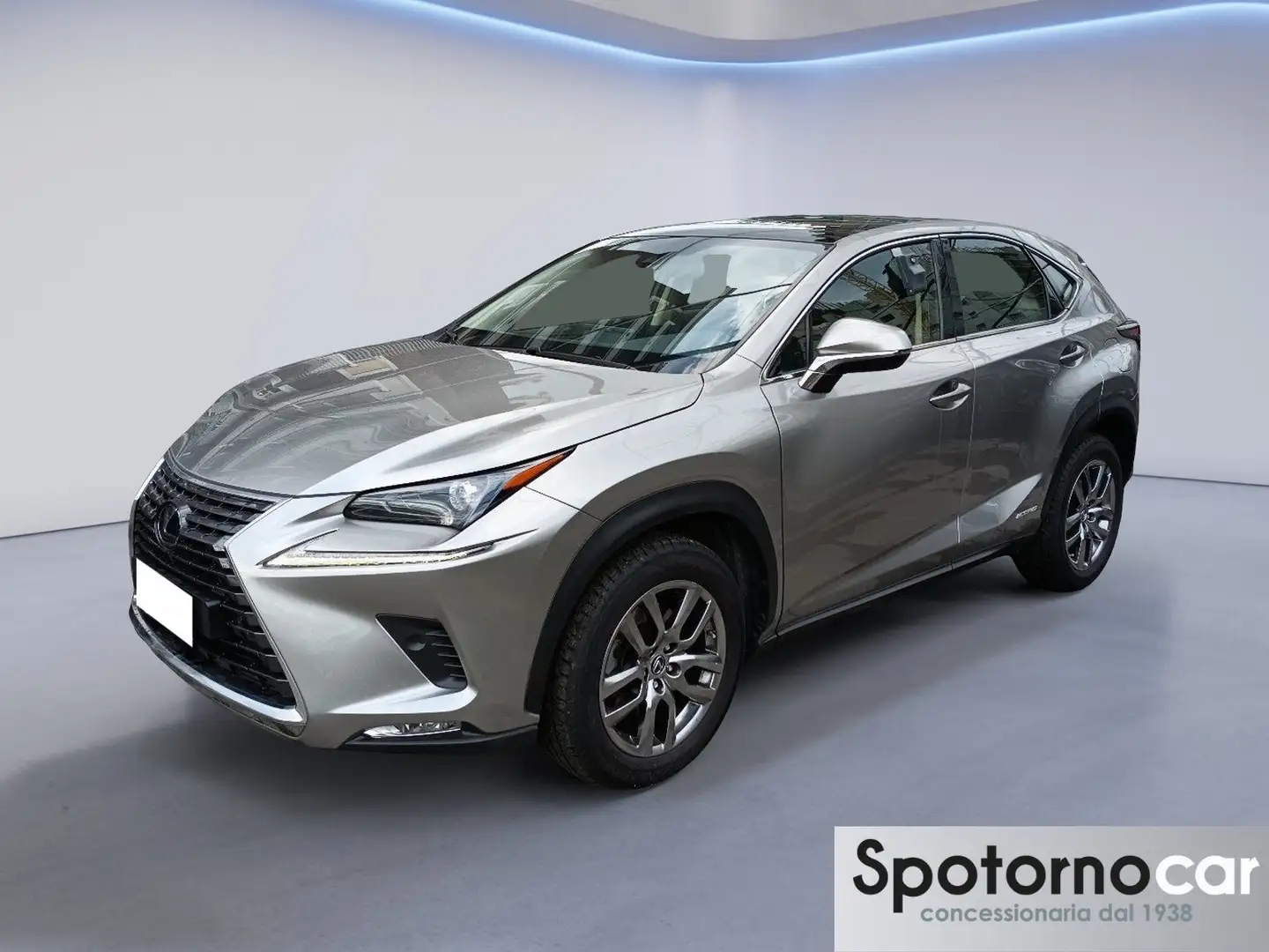 Lexus NX 300 NX Hybrid 4WD Premium - 1