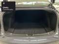 Tesla Model 3 Performance Argento - thumbnail 15
