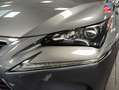 Lexus NX 300h 300h 4WD Luxe Grau - thumbnail 13