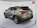 Lexus NX 300h 300h 4WD Luxe Grau - thumbnail 8
