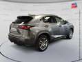 Lexus NX 300h 300h 4WD Luxe Grau - thumbnail 6