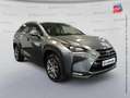 Lexus NX 300h 300h 4WD Luxe Grau - thumbnail 3