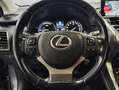 Lexus NX 300h 300h 4WD Luxe Grau - thumbnail 12