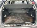 Lexus NX 300h 300h 4WD Luxe Grau - thumbnail 14