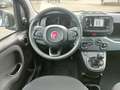 Fiat Panda 1.0 FireFly S&S Hybrid Blauw - thumbnail 16