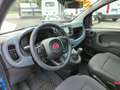 Fiat Panda 1.0 FireFly S&S Hybrid Blauw - thumbnail 13