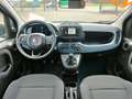 Fiat Panda 1.0 FireFly S&S Hybrid Blauw - thumbnail 15
