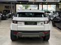 Land Rover Range Rover Evoque Range Rover Evoque Coupé eD4 150 2WD  SE Blanco - thumbnail 19