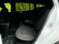 Ford Focus Turnier 1.5EB Aut. ST-Line LED+NAV+AHK+B&O Weiß - thumbnail 9