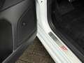 Ford Focus Turnier 1.5EB Aut. ST-Line LED+NAV+AHK+B&O Weiß - thumbnail 24