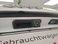 Audi Q5 50TDI quattro S-Line S-Line AHK Pano Matrix RFK Weiß - thumbnail 18