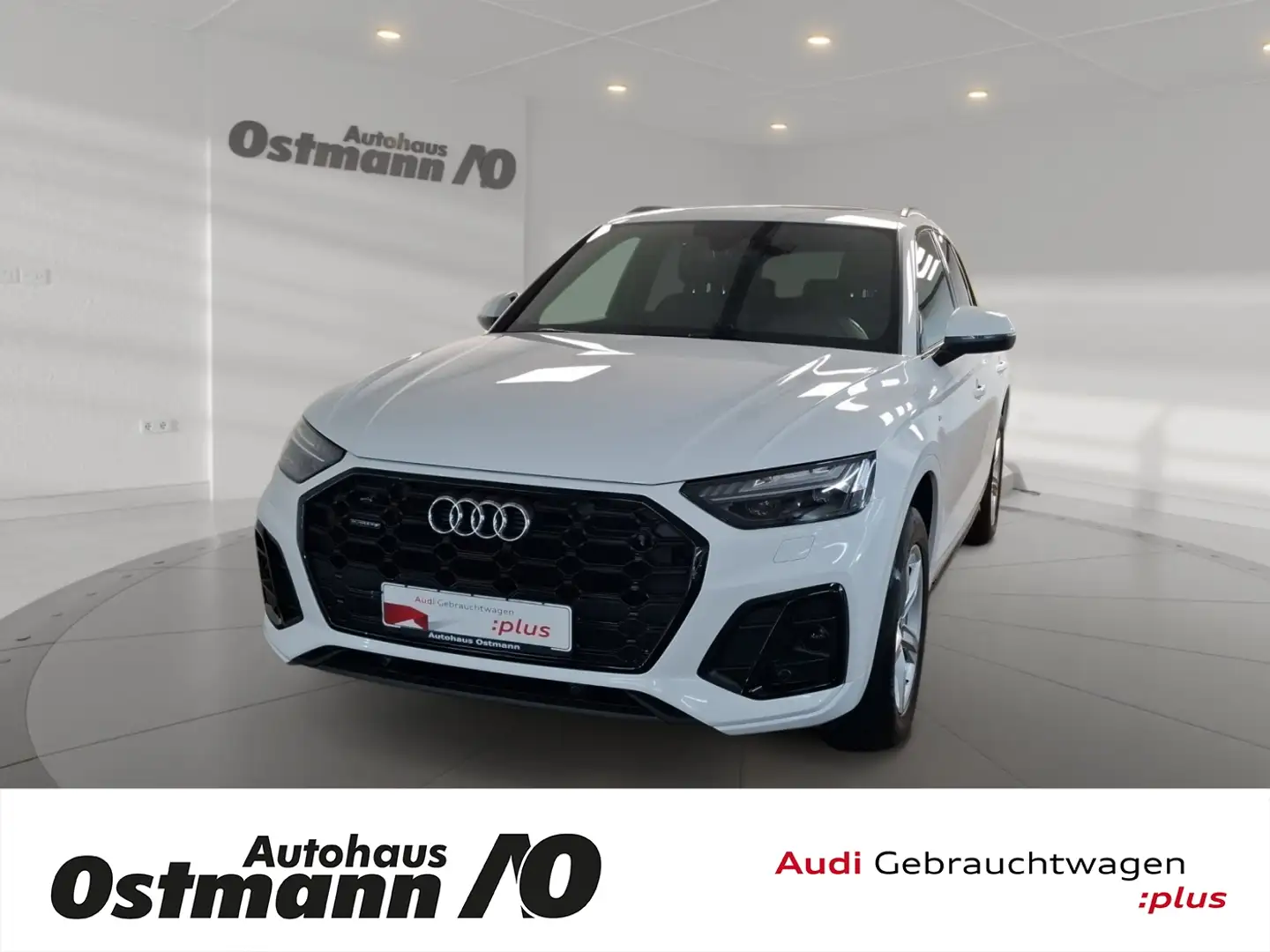 Audi Q5 50TDI quattro S-Line S-Line AHK Pano Matrix RFK Weiß - 1