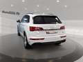 Audi Q5 50TDI quattro S-Line S-Line AHK Pano Matrix RFK Weiß - thumbnail 3