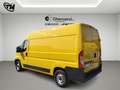 Fiat Ducato 33 2.3 MJT 120CV PM-TN Furgone Jaune - thumbnail 4