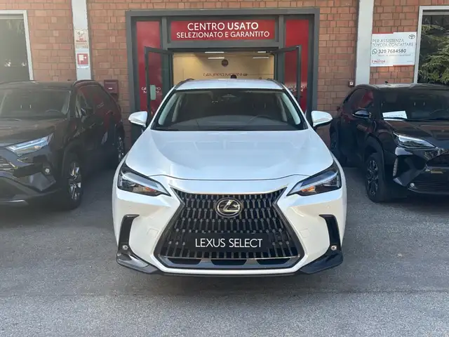 Lexus NX 350h Hybrid Premium 4WD MY22