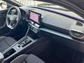 CUPRA Leon 1.5 eTSI DSG FA-Paket XL BEATS Kamera Schwarz - thumbnail 15