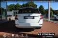Skoda Fabia Combi 1.0 MPI Cool Plus Klima PDC Bluetooth Weiß - thumbnail 4