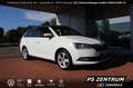 Skoda Fabia Combi 1.0 MPI Cool Plus Klima PDC Bluetooth Weiß - thumbnail 7
