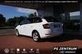 Skoda Fabia Combi 1.0 MPI Cool Plus Klima PDC Bluetooth Weiß - thumbnail 3