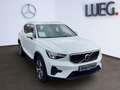 Volvo XC40 XC 40 T4 2WD Plus Bright Plug-In NAVI+LED+AHK+ Weiß - thumbnail 6