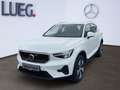 Volvo XC40 XC 40 T4 2WD Plus Bright Plug-In NAVI+LED+AHK+ Weiß - thumbnail 1
