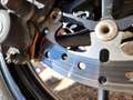 Triumph Tiger 800 XRX LOW Blanco - thumbnail 3