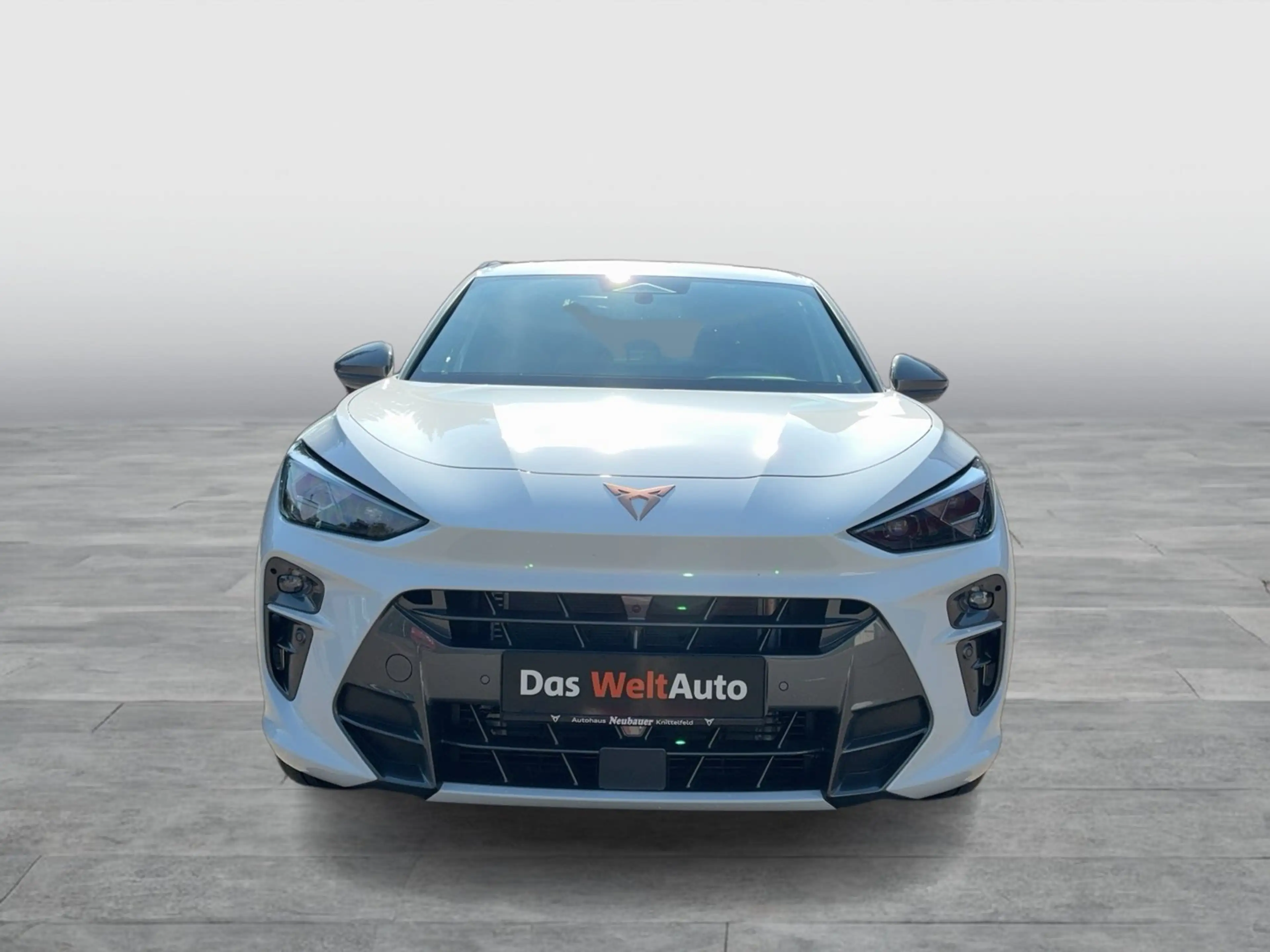 CUPRA Terramar 2.0 TSI 204 PS DSG 4Drive — photo 7
