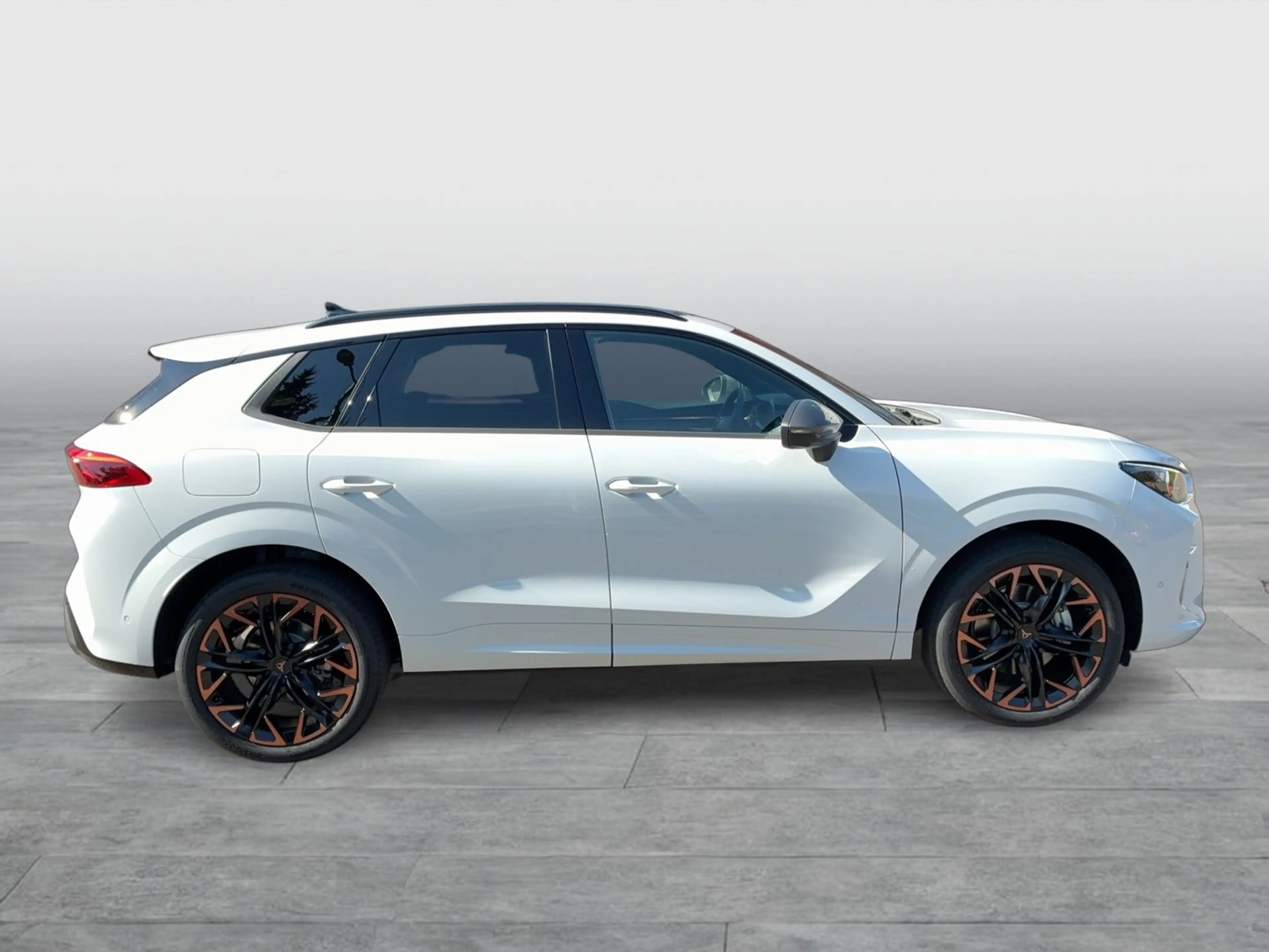 CUPRA Terramar 2.0 TSI 204 PS DSG 4Drive — photo 5