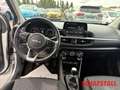 Kia Picanto 1.2 Dream Team Connect 8-fach Kamera Carplay Andro Argento - thumbnail 13
