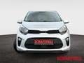 Kia Picanto 1.2 Dream Team Connect 8-fach Kamera Carplay Andro Argento - thumbnail 9