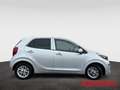 Kia Picanto 1.2 Dream Team Connect 8-fach Kamera Carplay Andro Argento - thumbnail 7