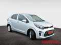 Kia Picanto 1.2 Dream Team Connect 8-fach Kamera Carplay Andro Argento - thumbnail 8